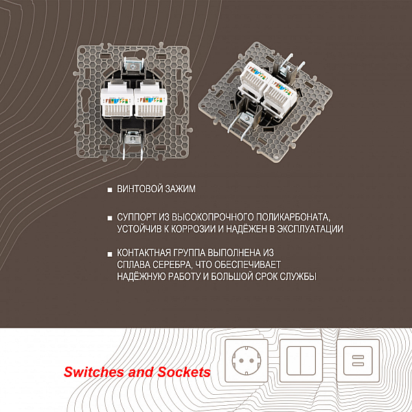 Розетка RJ45 Arte Milano 217.45-2.shampan