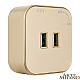 Трековая розетка Arte Milano Am-track-sockets 380022TS/USBx2 Gold
