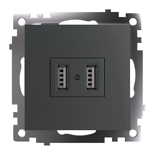 Розетка 2хUSB Stekker Катрин графит GLS10-7115-06 49422