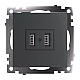 Розетка 2хUSB Stekker Катрин графит GLS10-7115-06 49422