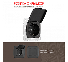 Розетка с заземлением, шторками и защитной крышкой Arte Milano 205.41-1.black