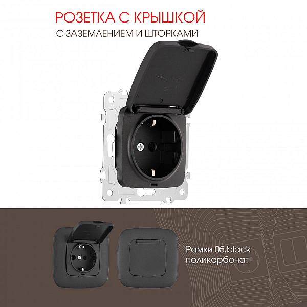 Розетка с заземлением, шторками и защитной крышкой Arte Milano 205.41-1.black