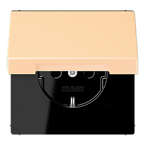 Розетка 2K+З с крышкой Jung LC1520BFKL223