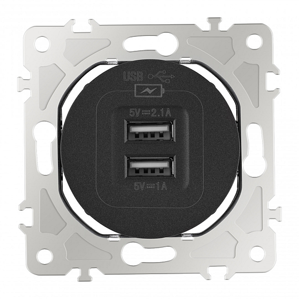 Розетка USB 2.1А+1А Arte Milano 202.46-1.black