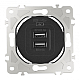 Розетка USB 2.1А+1А Arte Milano 202.46-1.black