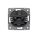 Механизм розетки с USB зарядкой Arlight SCT-MUAA-PL-GR-V (250V, 16A) 049820