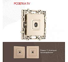 Розетка TV Arte Milano 217.43-1.shampan