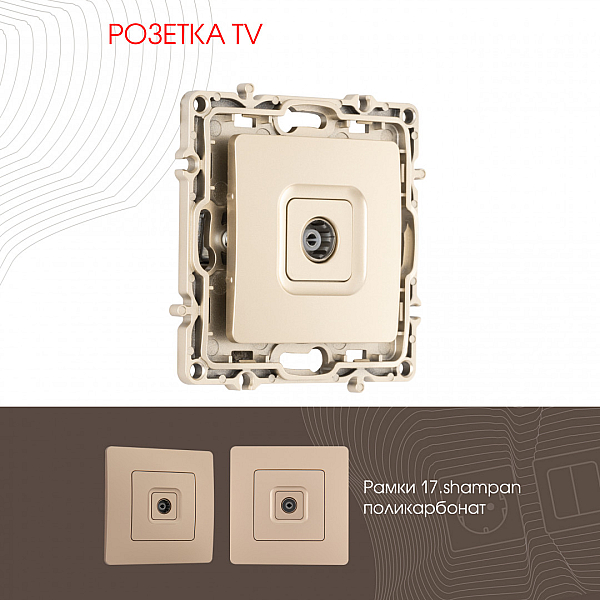 Розетка TV Arte Milano 217.43-1.shampan