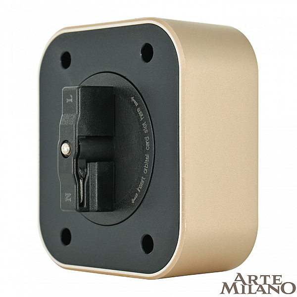 Трековая розетка Arte Milano Am-track-sockets 380022TS/USBx2 Gold