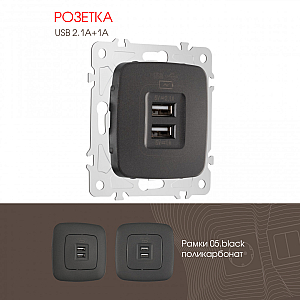 Розетка USB 2.1А+1А Arte Milano 205.46-1.black