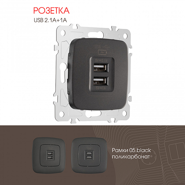 Розетка USB 2.1А+1А Arte Milano 205.46-1.black