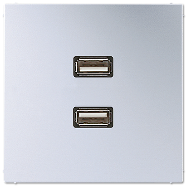 Розетка USB Jung MAAL1153
