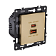 Розетка USB A+C 65W, золотой Kollinger Asthetik AS-024GD