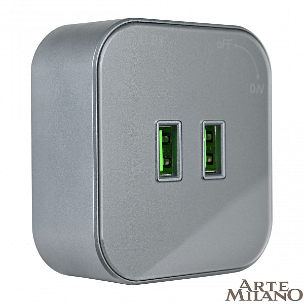 Трековая розетка Arte Milano Am-track-sockets 380022TS/USBx2 Grey