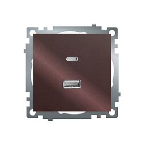 Розетка 2-местная USB + type C Stekker Катрин GLS10-7116-04 50057