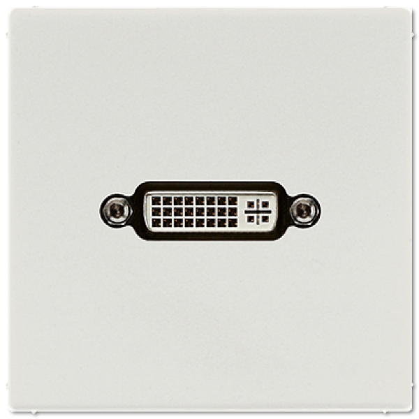 Розетка DVI Jung MALS1193LG