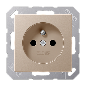 Розетка Jung A1520FKICH