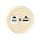 Розетка телефонная RJ11 + компьютерная RJ45 сл. кость Болонь TDM Electric SQ1820-0352
