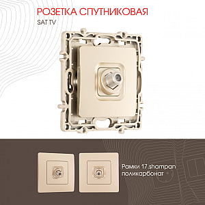 Розетка спутниковая SAT TV Arte Milano 217.42-1.shampan
