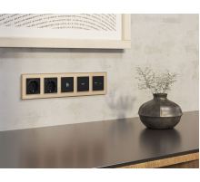 Комплект механизма TV розетки оконечной экранированной 5-1000MHz 3dB Alfa Черный матовый Quant Ambrella Volt MA813005 (AP8130, VM199)