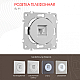 Розетка телефонная RJ11 Arte Milano 202.51-1.silver