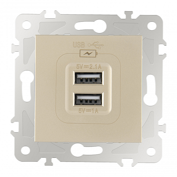 Розетка USB 2.1А+1А Arte Milano 203.46-1.shampan