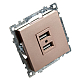 Розетка 2хUSB Stekker Катрин шампань GLS10-7115-02 39602