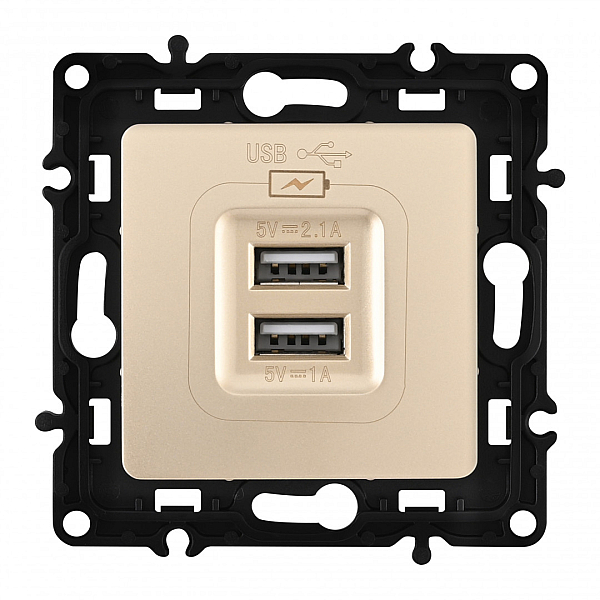 Розетка USB 2.1А+1А Arte Milano 217.46-1.shampan