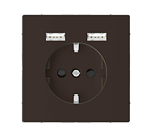 Розетка компьютерная USBx2 Schneider Electric Merten D-Life MTN2366-6052