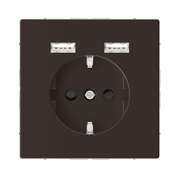 Розетка компьютерная USBx2 Schneider Electric Merten D-Life MTN2366-6052