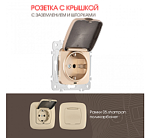 Розетка с заземлением, шторками и защитной крышкой Arte Milano 205.41-1.shampan