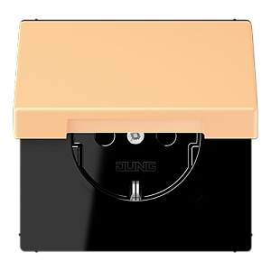 Розетка 2K+З с крышкой Jung LC1520BFKL258