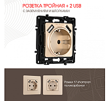 Розетка с заземлением, шторками + 2 USB Arte Milano 217.47-1.shampan