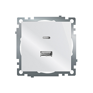 Розетка 2-местная USB + type C Stekker Катрин GLS10-7116-01 50051