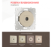 Розетка TV Arte Milano 202.43-1.shampan