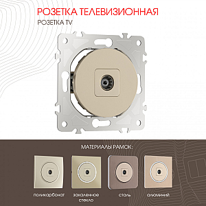 Розетка TV Arte Milano 202.43-1.shampan