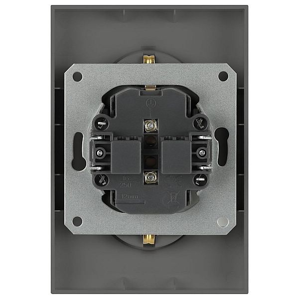 Розетка Эра Arktik 16-2104-06 двойная с заземлением 2X2P+E Schuko 16А-250В графит Б0070449