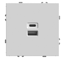 Розетка 2-местная USB + Type C Stekker RST10-5115-01 Эмили 49879