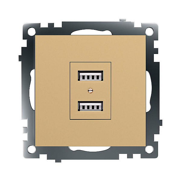 Розетка 2хUSB Stekker Катрин золото GLS10-7115-08 49229