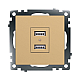 Розетка 2хUSB Stekker Катрин золото GLS10-7115-08 49229