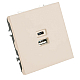 Розетка 2-местная USB + Type C (механизм), Stekker, 250В, 20W Эмили, RST10-5115-08, кашемир, soft touch 49905
