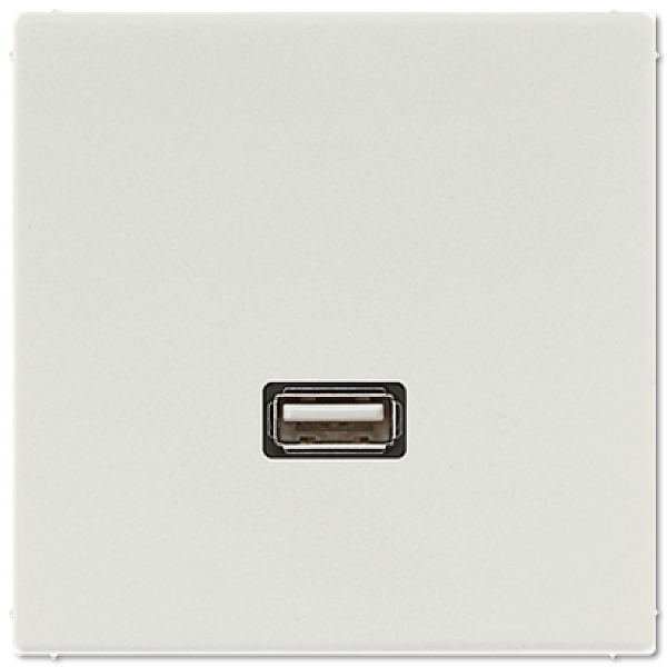 Розетка USB Jung MALS1122LG