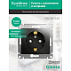 Розетка 2К+З Systeme Electric Glossa 16A 250V со шторками антрацит GSL000745