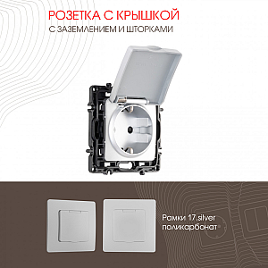 Розетка с заземлением, шторками и защитной крышкой Arte Milano 217.41-1.silver