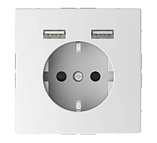 Розетка компьютерная USBx2 Schneider Electric Merten D-Life MTN2366-6035