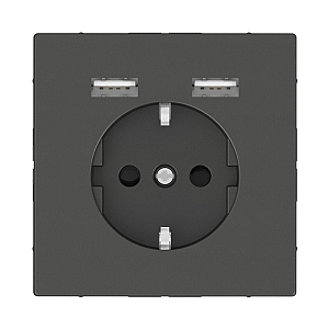 Розетка компьютерная USBx2 Schneider Electric Merten D-Life MTN2366-6034