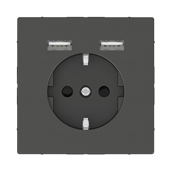Розетка компьютерная USBx2 Schneider Electric Merten D-Life MTN2366-6034