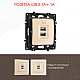Розетка USB 2.1А+1А Arte Milano 217.46-1.shampan