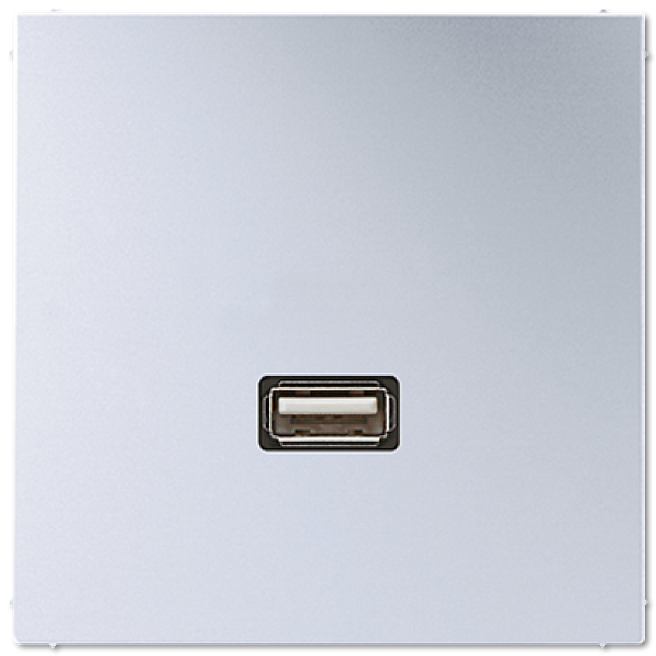 Розетка USB Jung MAAL1122