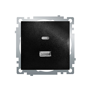 Розетка 2-местная USB + type C Stekker Катрин GLS10-7116-05 50055